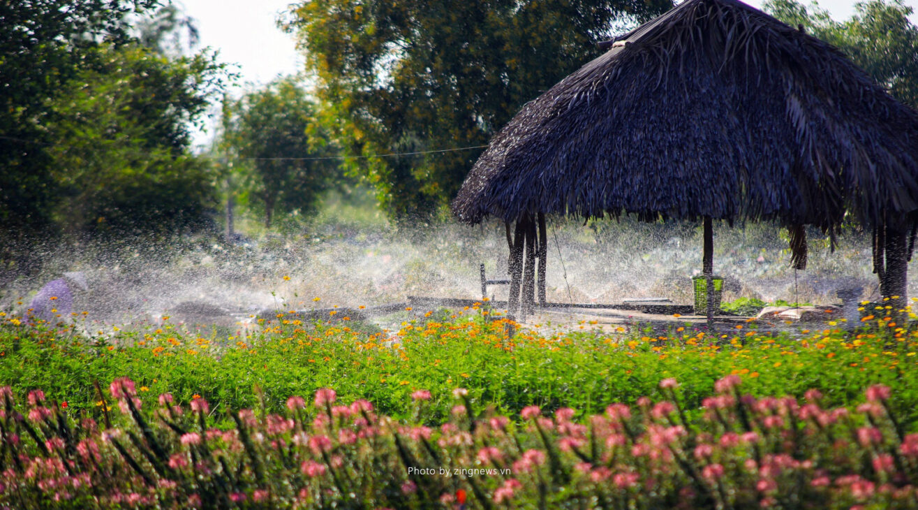 Khu Trung tâm Công nghệ Sinh thái Tam Đa & Long Phước