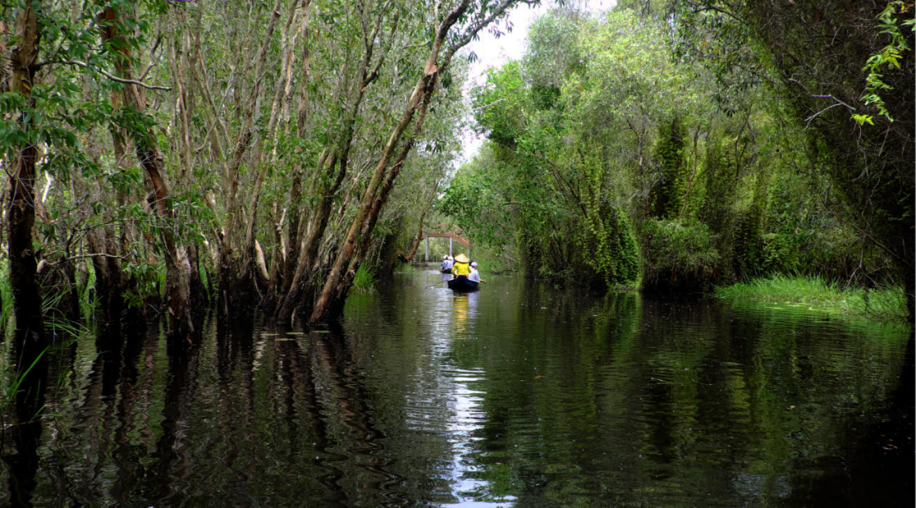 Top 10 Eco-Tourism Destinations in Ho Chi Minh City That Appeal to Travelers