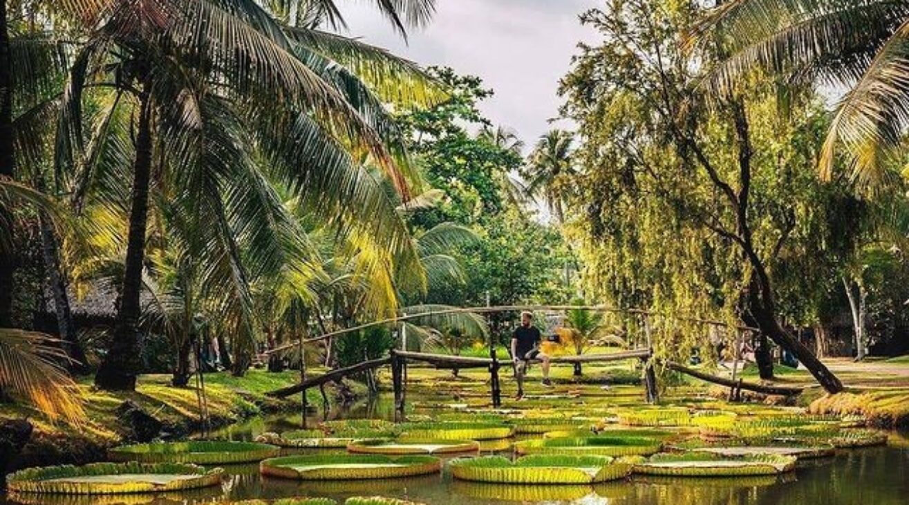 Tìm về bình yên nơi Làng xanh Bình Quới