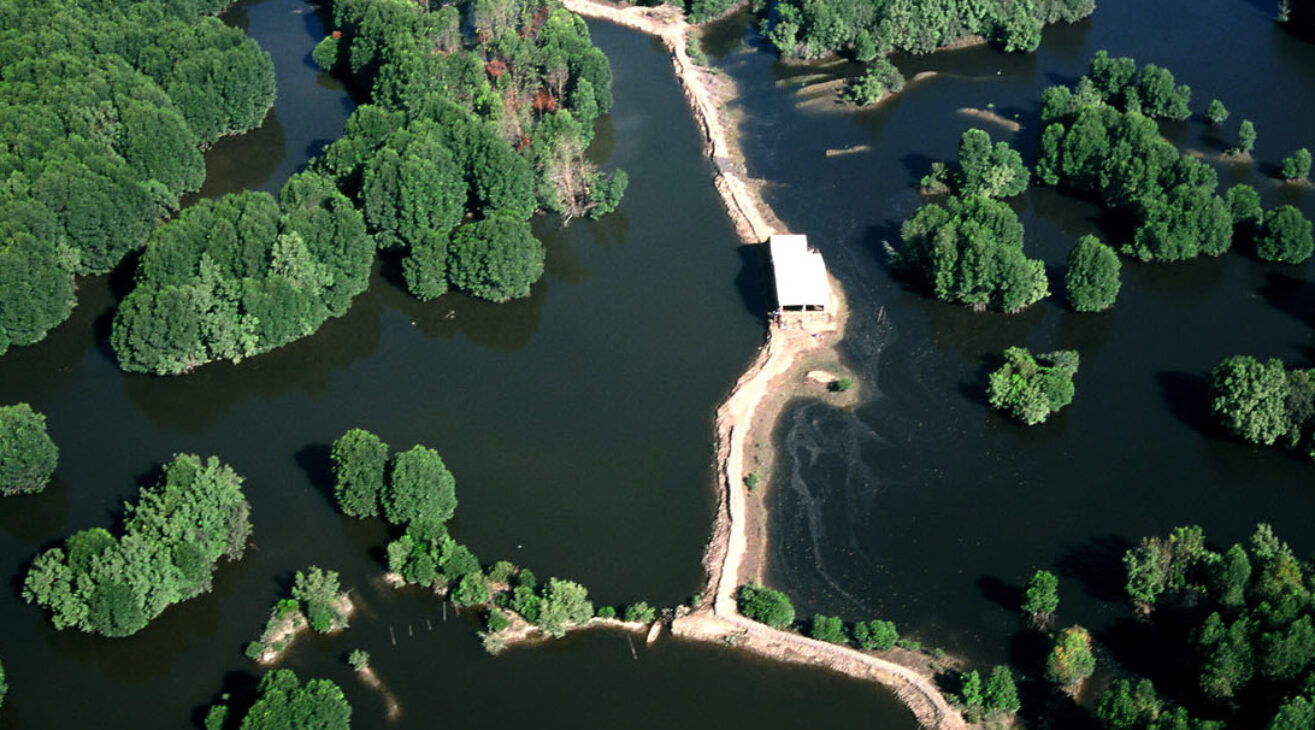 Du lịch Huyện Cần Giờ