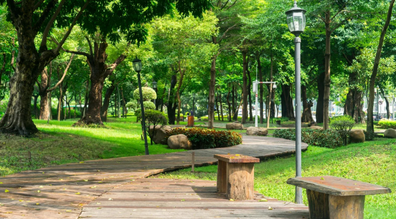 Top 9 công viên lớn nhất ở TPHCM