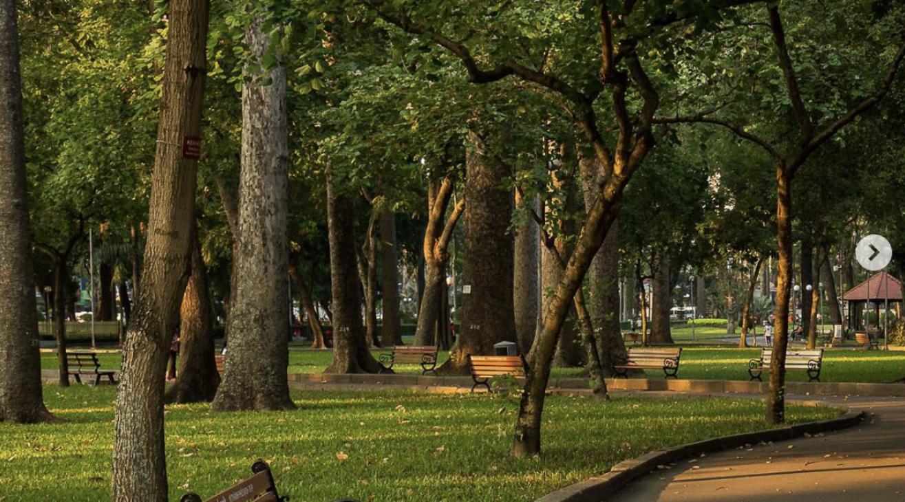 Green symbol in the heart of Ho Chi Minh City