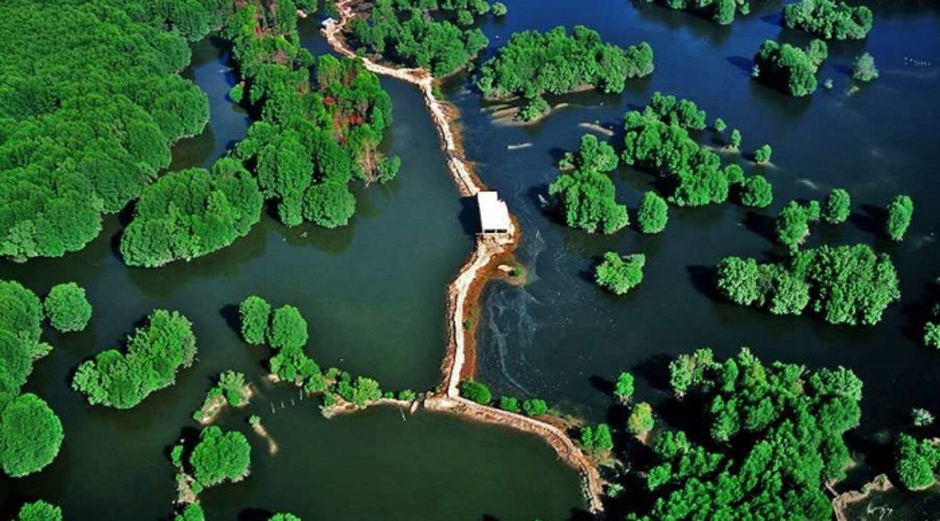 5 activities for nature lovers in Saigon