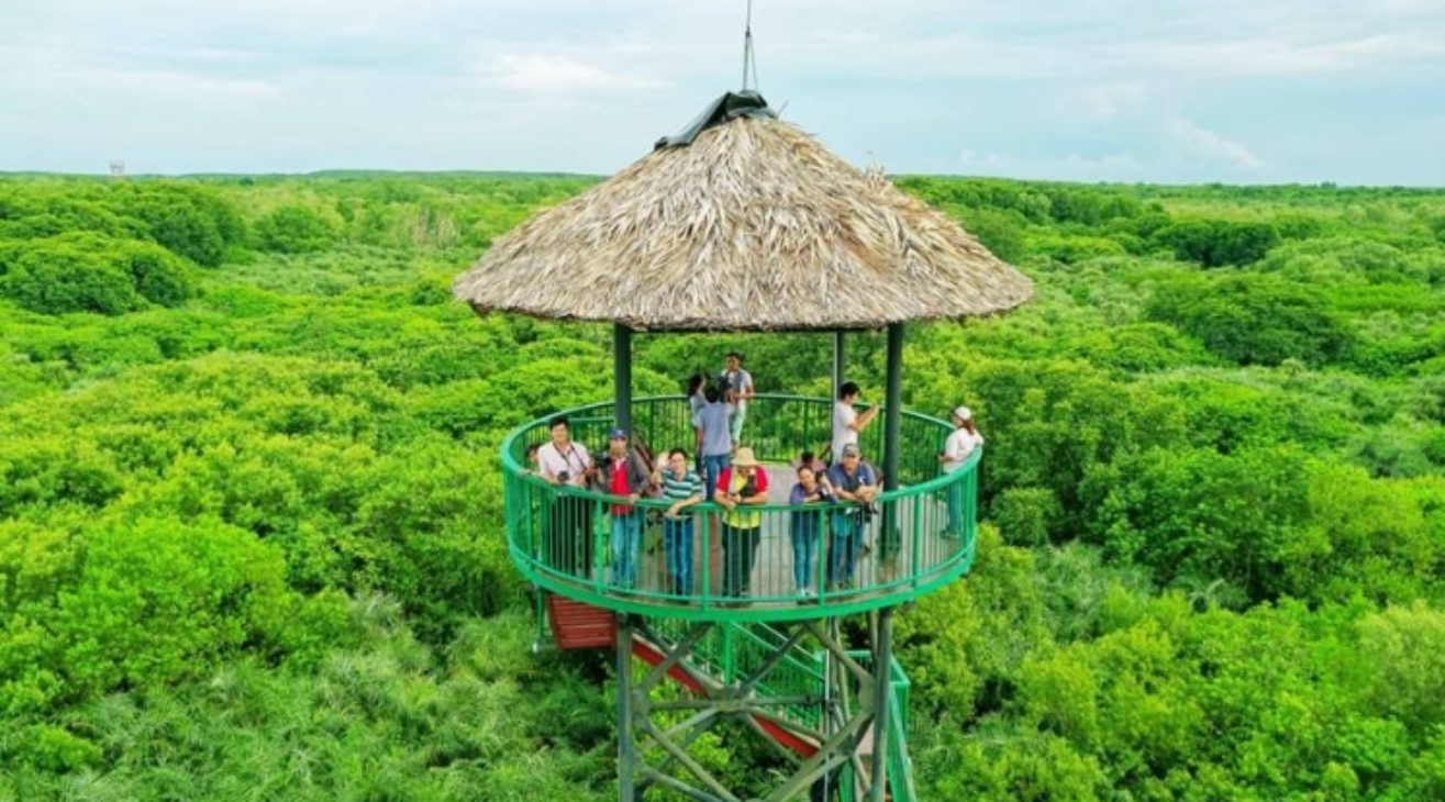 Sac Forest Can Gio – A Fascinating Wilderness Destination