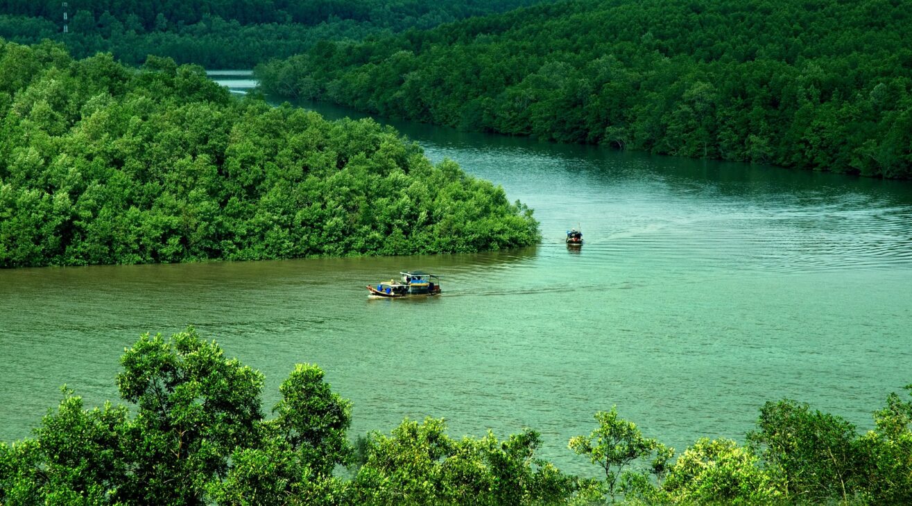 Cần Giờ District