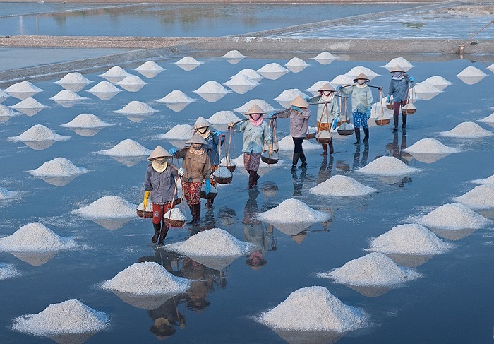 Go Gang Island, Vung Tau – Reclaiming Wild Freedom Beneath the Mudflats